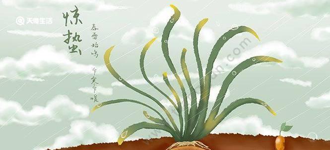 李文亮经典花语代表什么含义？