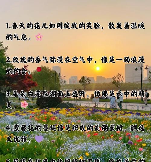 哪个城市的花语代表了这座城市？