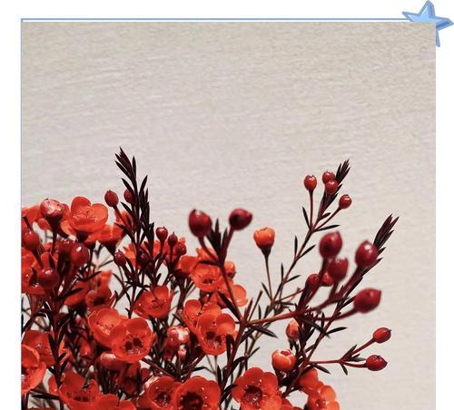 和腊梅在一起的花语是什么？腊梅与其他花搭配的花语含义是什么？