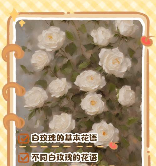 韩国花语口红推荐色号是什么？手戴玫瑰花含义是什么？