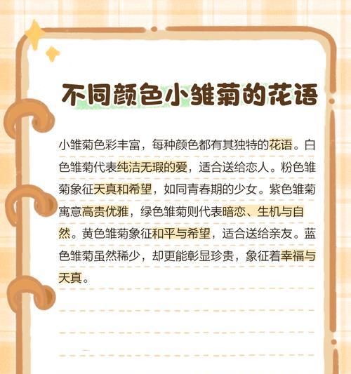 生日送小皱菊代表什么花语？