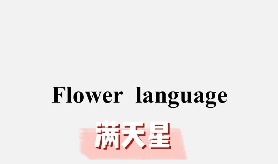 满天星的花语是什么？