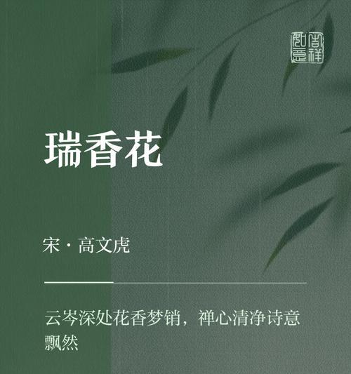 瑞香花语代表什么？瑞香的花语含义是什么？