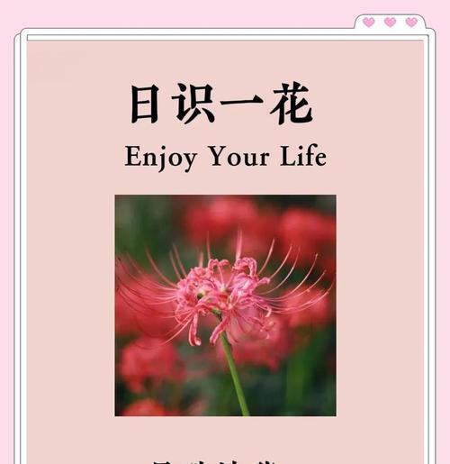 彼岸花的花语是什么？“错的不是”有何含义？