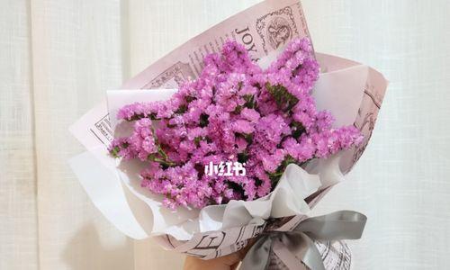 粉色勿忘我的花语是什么？代表了什么意义？