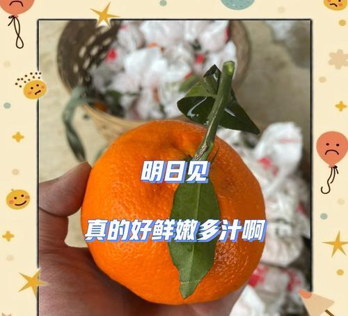 柑橘花代表什么？在送礼时有何特别含义？