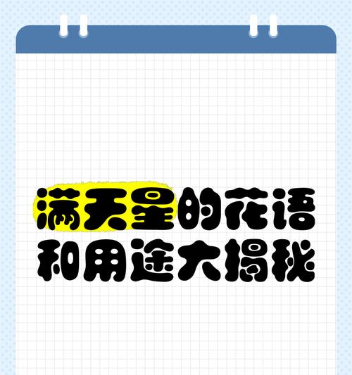 星星小花的花语是什么？它象征着什么？