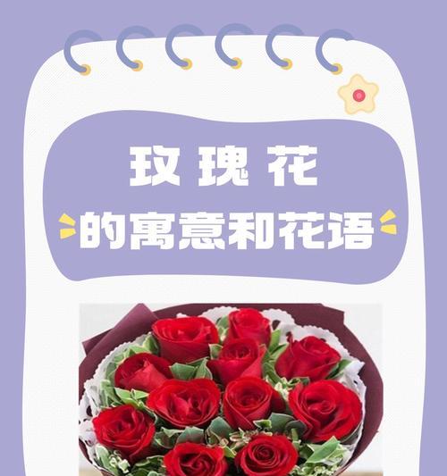 其它花的花语有哪些？如何选择合适的花卉表达情感？