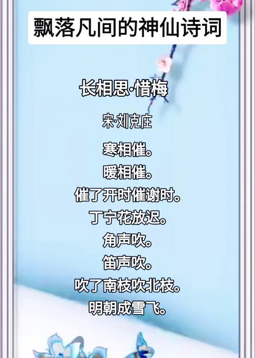 相思梅的花语是什么？它如何影响人际关系？