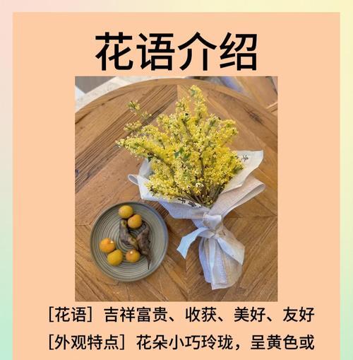 桂花的花语有哪些片段？它如何传达爱意？