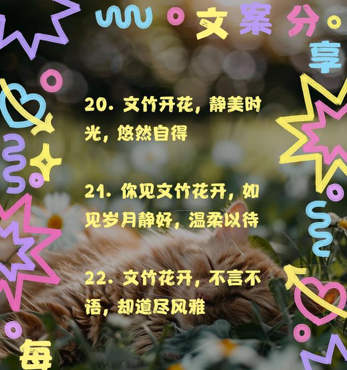 文竹的花语是什么？文竹花语的含义是什么？