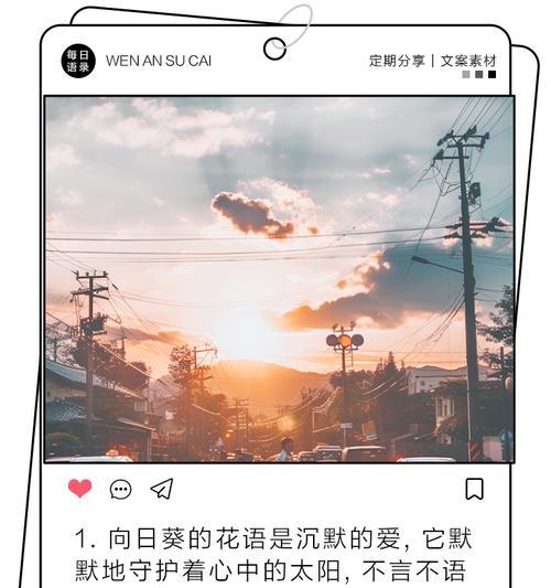 向日奎的花语是什么？向日奎花语的含义是什么？
