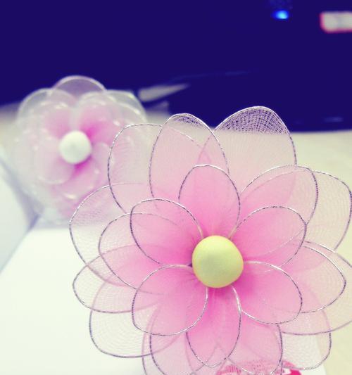 冰凉花花语是什么？冰凉花花语的寓意是什么？