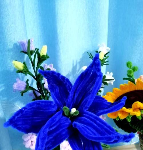 蓝色香槟花语是什么？蓝色香槟花语的含义是什么？