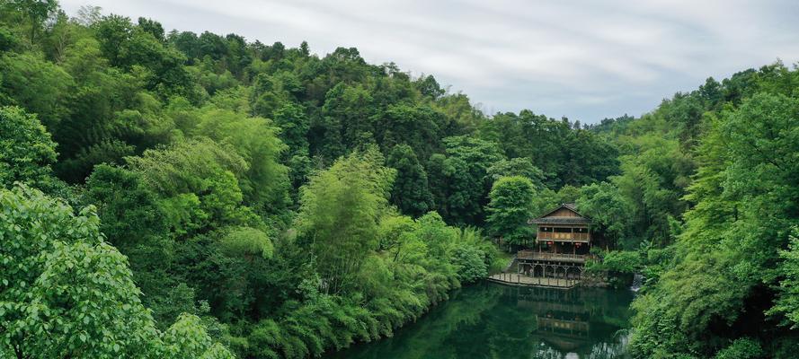 畦畔莎草花语是什么？畦畔莎草的寓意是什么？