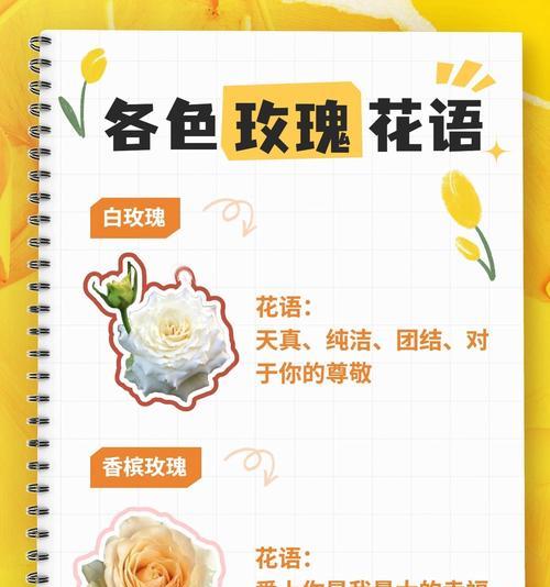 爱而不懂花语是什么意思？如何表达爱意？