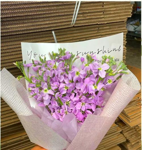 紫罗兰的花语是什么？紫罗兰的象征意义有哪些？