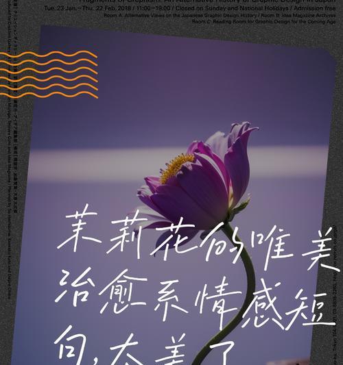 金手指花的花语是什么？金手指花的寓意有哪些？