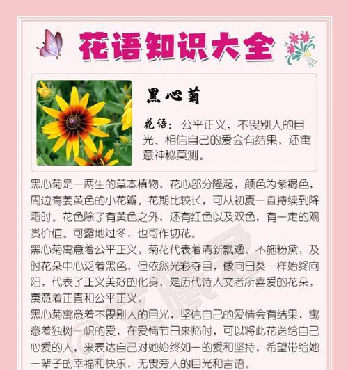 菊花花语在诗词中如何体现？有哪些著名的例子？