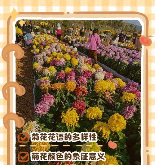 菊花花语在诗词中如何体现？有哪些著名的例子？