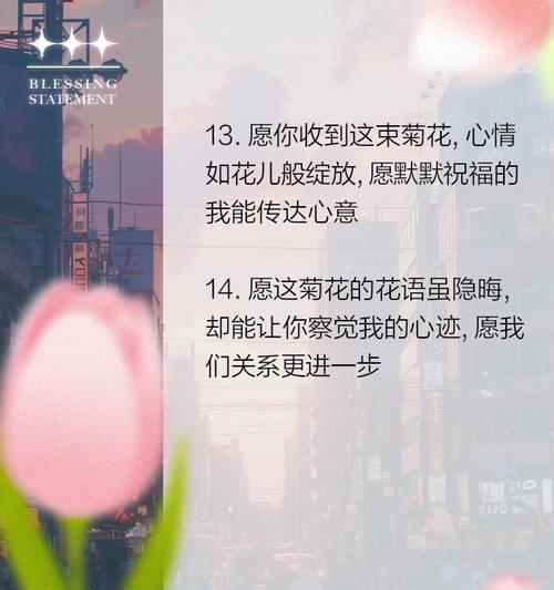 菊花们的花语有哪些共同点？它们各自又有什么特别之处？