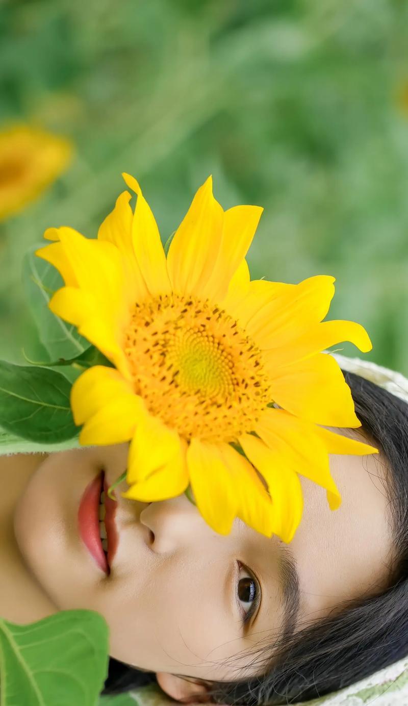 搜索掌的花语是什么？如何理解搜索掌的象征意义？