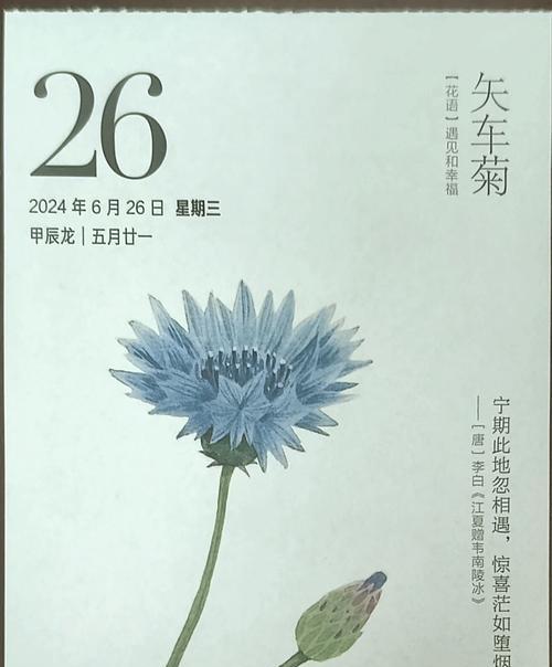 佛手菊的花语是什么？佛手菊象征着什么？