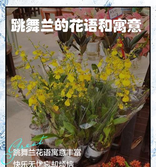 天竺兰花的花语有哪些？天竺兰代表什么？