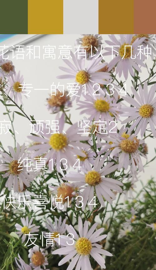 草的花语是什么？草有哪些花语含义？