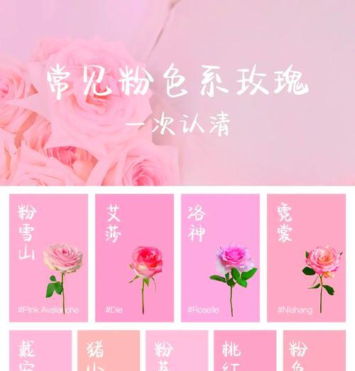 粉掌红唇花语是什么？如何表达爱意？