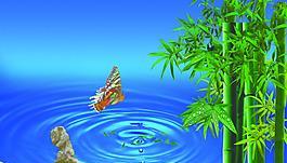石竹子花花语是什么？石竹子花象征着什么？
