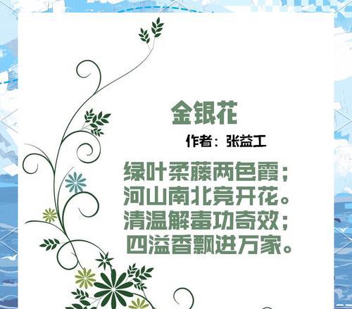 千银花的花语是什么？它象征着什么？