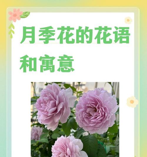 桃子花的花语是什么？它在爱情中代表什么？