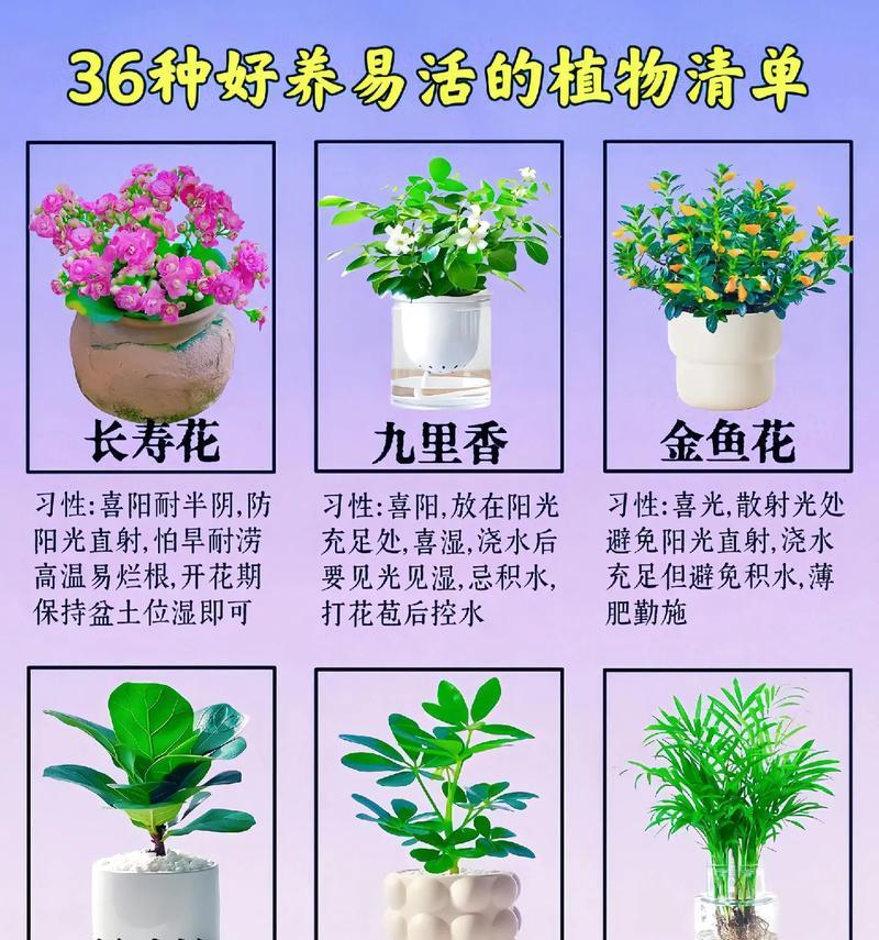 植物花语系列有哪些？如何挑选合适的花卉？