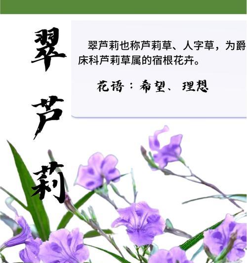 植物花语系列有哪些？如何挑选合适的花卉？