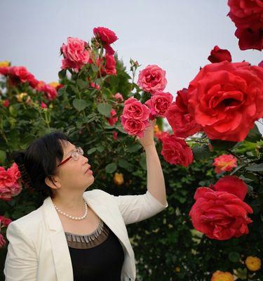 苍梧花的花语代表什么含义？