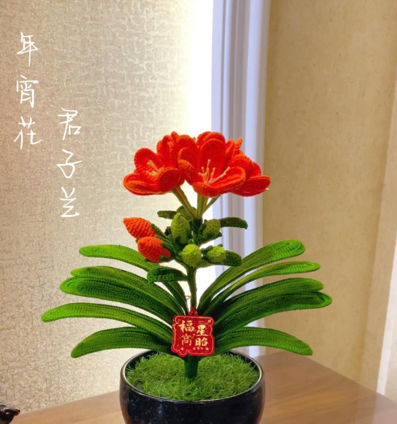 君子兰花语牌代表什么含义？