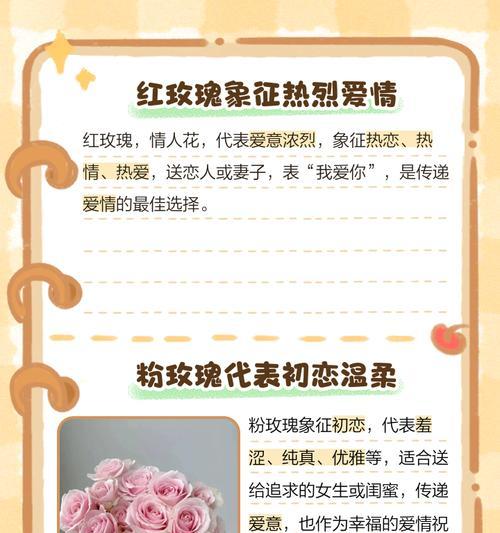 朝晖玫瑰代表什么？朝晖玫瑰花语有哪些含义？