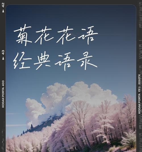 菊花的花语有哪些？菊花花语如何介绍？
