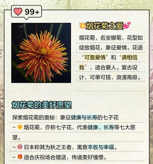 菊花的花语有哪些？菊花花语如何介绍？