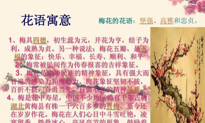 梅花的花语有哪些？梅花花语如何说？