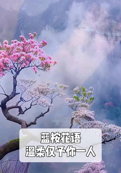 蓝桉的花语是什么？它在自然环境中的作用？