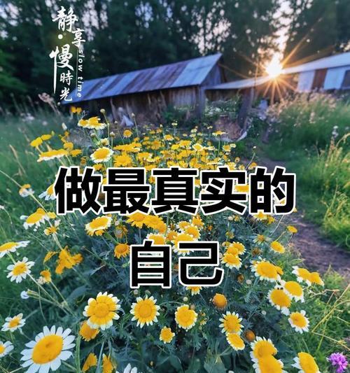 筒蒿花的花语有哪些？它在传统医学中的地位？