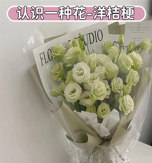 蓝洋桔梗花语代表什么？