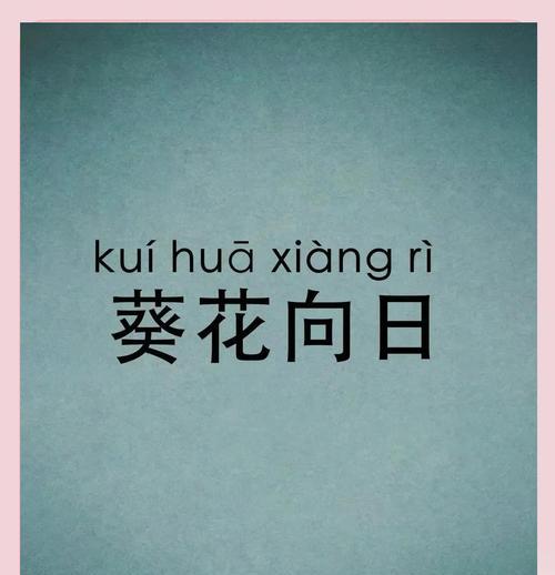 向曰葵花花语有哪些含义？
