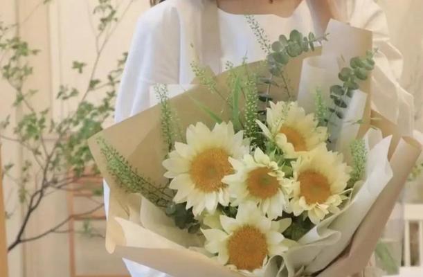 向曰葵花花语有哪些含义？