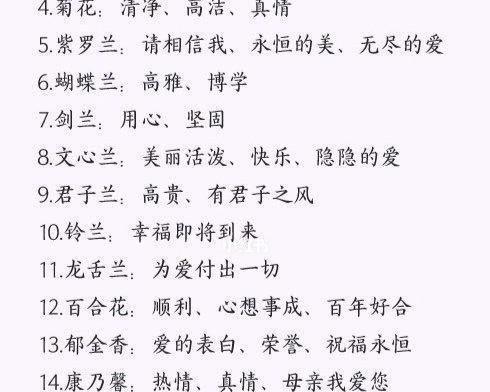 瓦松花语代表什么？