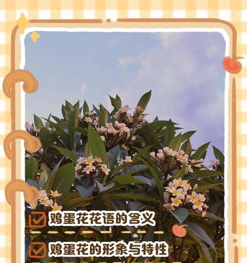 百种名花花语代表什么？