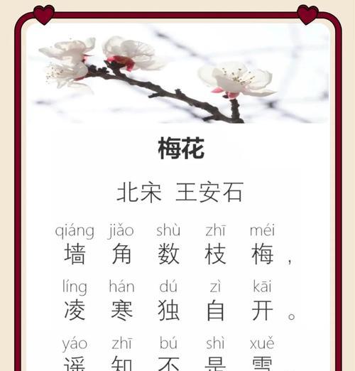 梅花的花语百科全书？梅花花语有哪些？