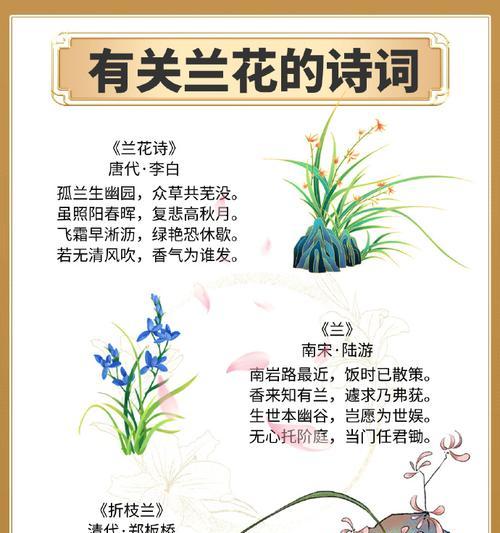 兰之香的花语是什么？兰之香象征着什么？